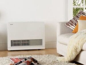energy saver - rinnai gas heater - regency plumbing
