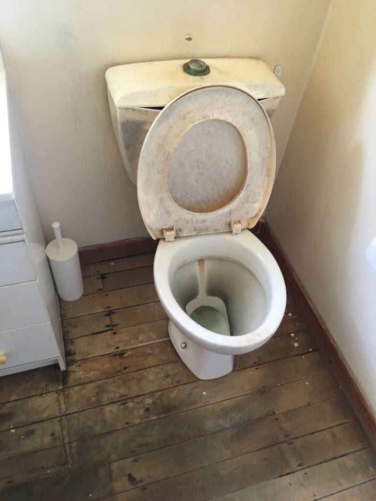 replacement toilet suite - before image