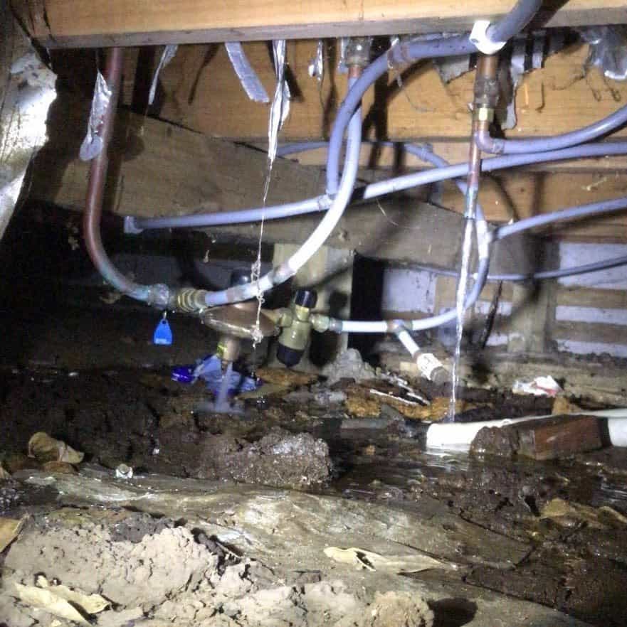 Auckland Plumbers - Regency Plumbing Hot Water Overflowing Under House - emergency plumbing services in auckland